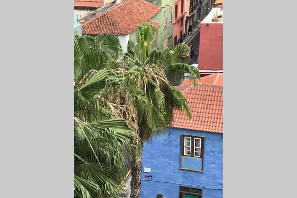Tele-working. Central. Gran Balcon. Vistas. Appartamento